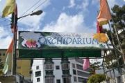 Orchidarium - Baguio